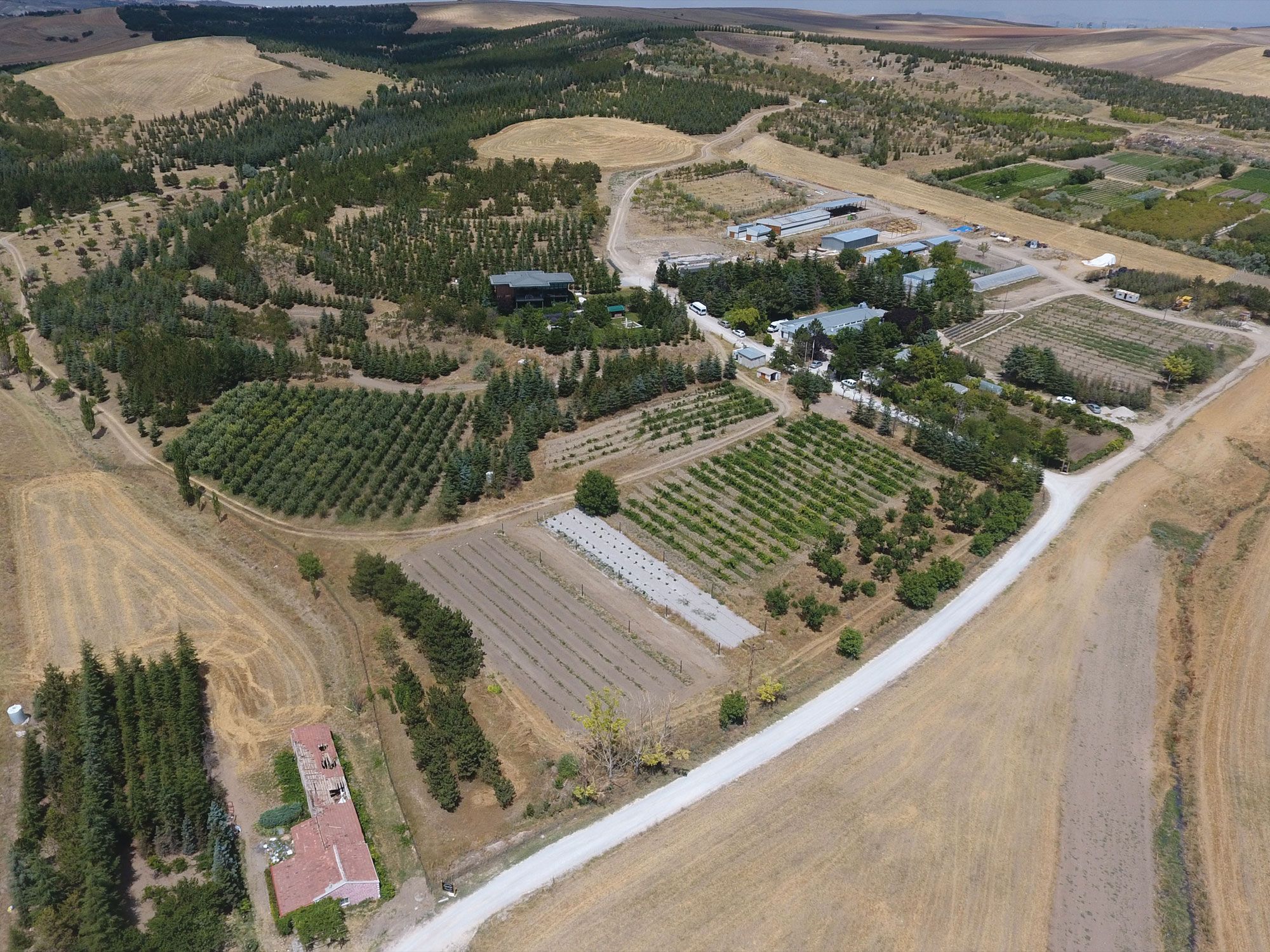 Mesa Farmtech