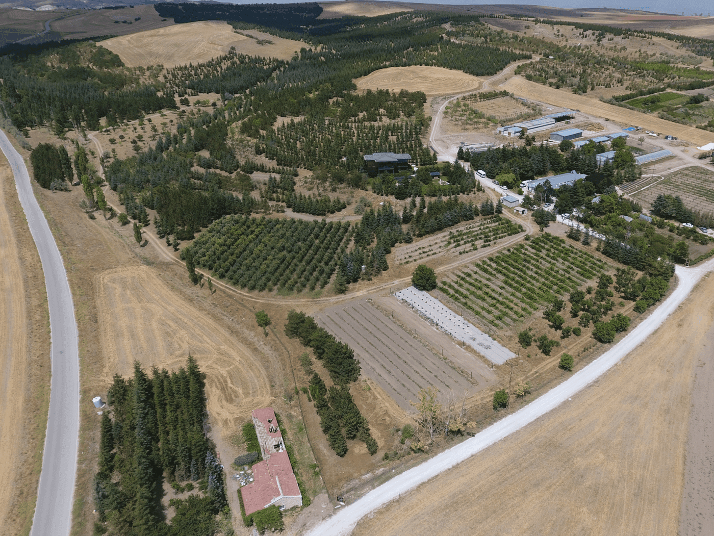 Mesa Farmtech’in Kuruluşu